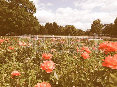 Gardens in Stuttgart Germany vintage