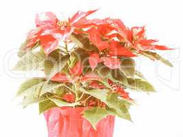 Retro looking Poinsettia Christmas Star