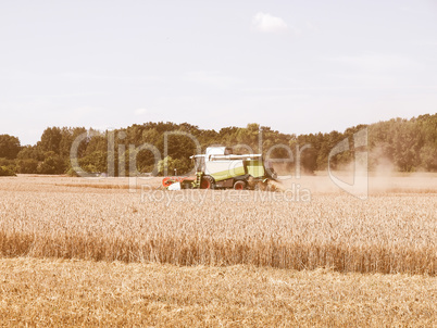 Harvest vintage