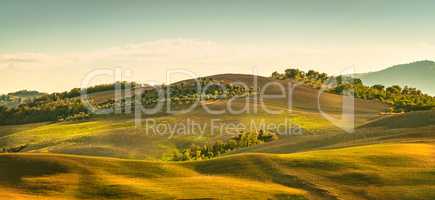 Fields in Tuscany