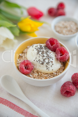 Joghurt mit Müsli und Früchten