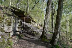 Felsen bei Bad Kissingen