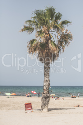 Palm and many people on the beach