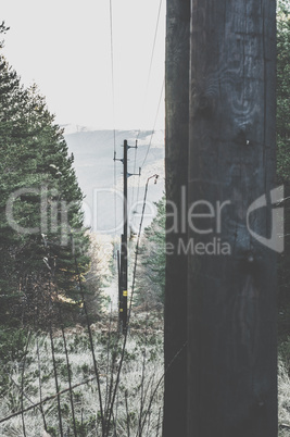 Vintage electric poles