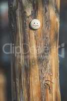 Smile icon miniature on tree