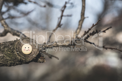 Smile icon miniature on tree