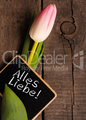 Tulip with blackboard