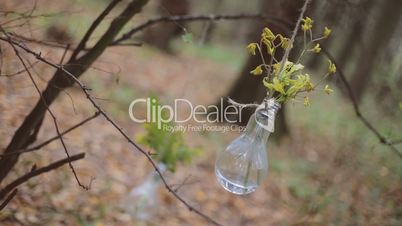 Eco forest wedding light bulb with flower
