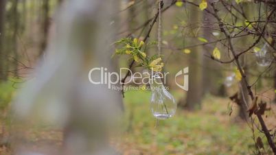Eco forest wedding light bulb with flower