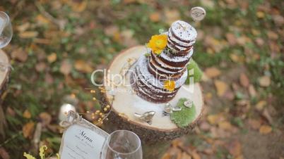 Eco forest wedding naked cake