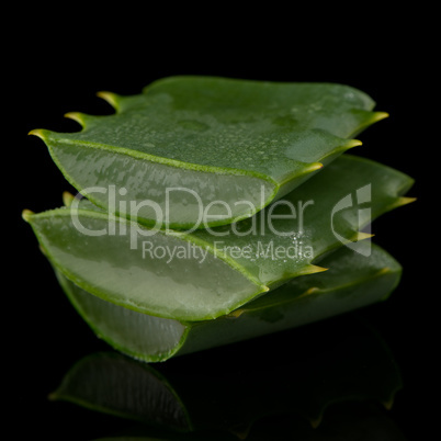 Sliced aloe leaf