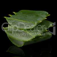 Sliced aloe leaf