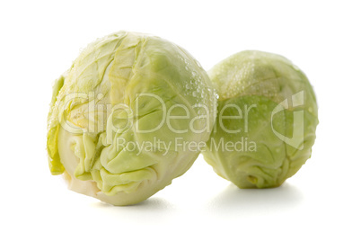 Fresh brussels sprouts