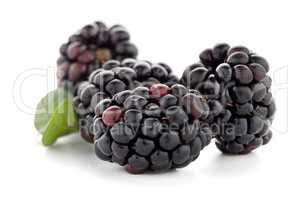 Blackberries with leaves