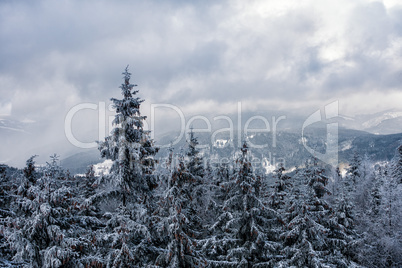 Winter im Riesengebirge bei Benecko
