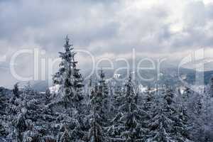 Winter im Riesengebirge bei Benecko