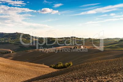 Fields in Tuscany