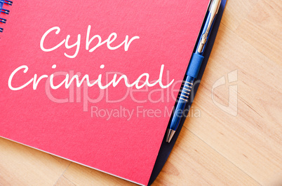 Cyber criminal write on notebook