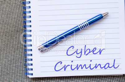 Cyber criminal write on notebook