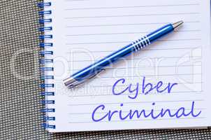 Cyber criminal write on notebook