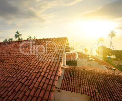 View from the roof