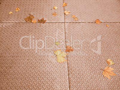 Retro looking Leaves on pavement