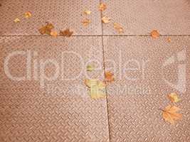 Retro looking Leaves on pavement