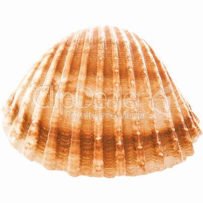 Shell picture vintage