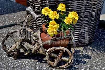 Kleines verwittertes Holzfahrrad mit Blumen