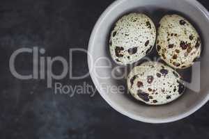 Quail eggs in the bowl