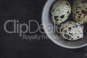 Quail eggs in the bowl