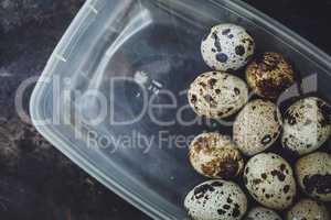 Quail eggs in a plastic bowl