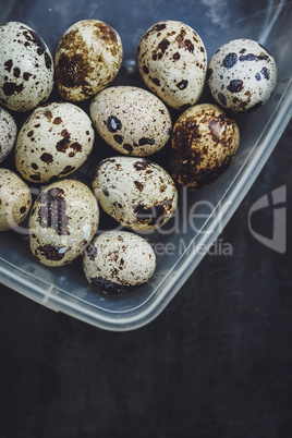 Quail eggs in a plastic bowl