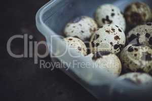 Quail eggs in a plastic bowl