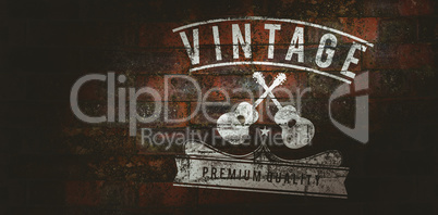 Composite image of icon vintage