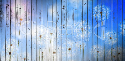 Composite image of digitally generated dandelions against blue sky