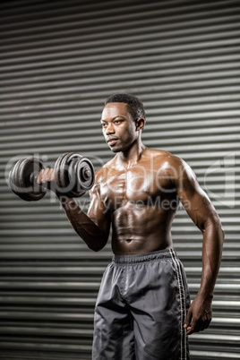 Shirtless man lifting heavy dumbbell