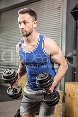 Muscular man lifting dumbbells Muscular man lifting dumbbells