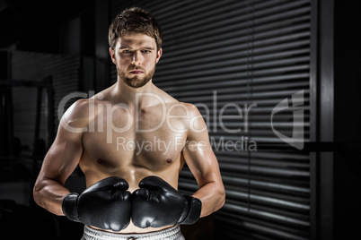 Shirtless man with boxe gloves