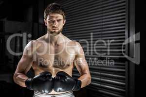 Shirtless man with boxe gloves