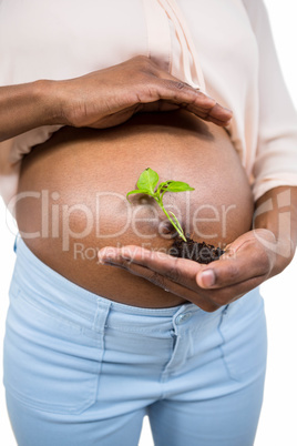 Pregnant woman holding a growing plant