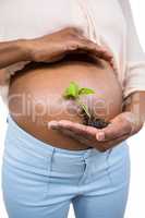 Pregnant woman holding a growing plant