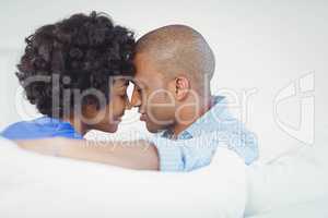 Portrait of smiling couple on the sofa