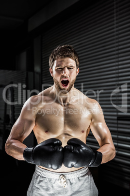 Shirtless man with boxe gloves shouting