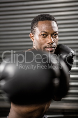 Shirtless boxer training