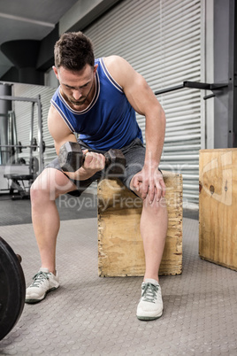 Muscular man lifting dumbbell on wooden block