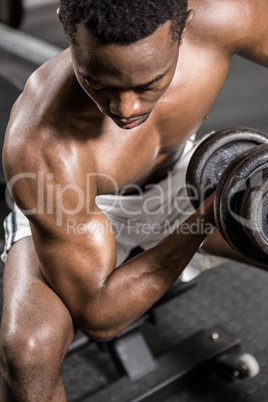 Shirtless man lifting dumbbell on bench