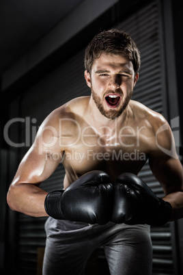 Shirtless man with boxe gloves shouting