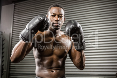 Shirtless boxer training