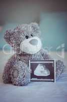 View of teddy bear and baby ultrasound
